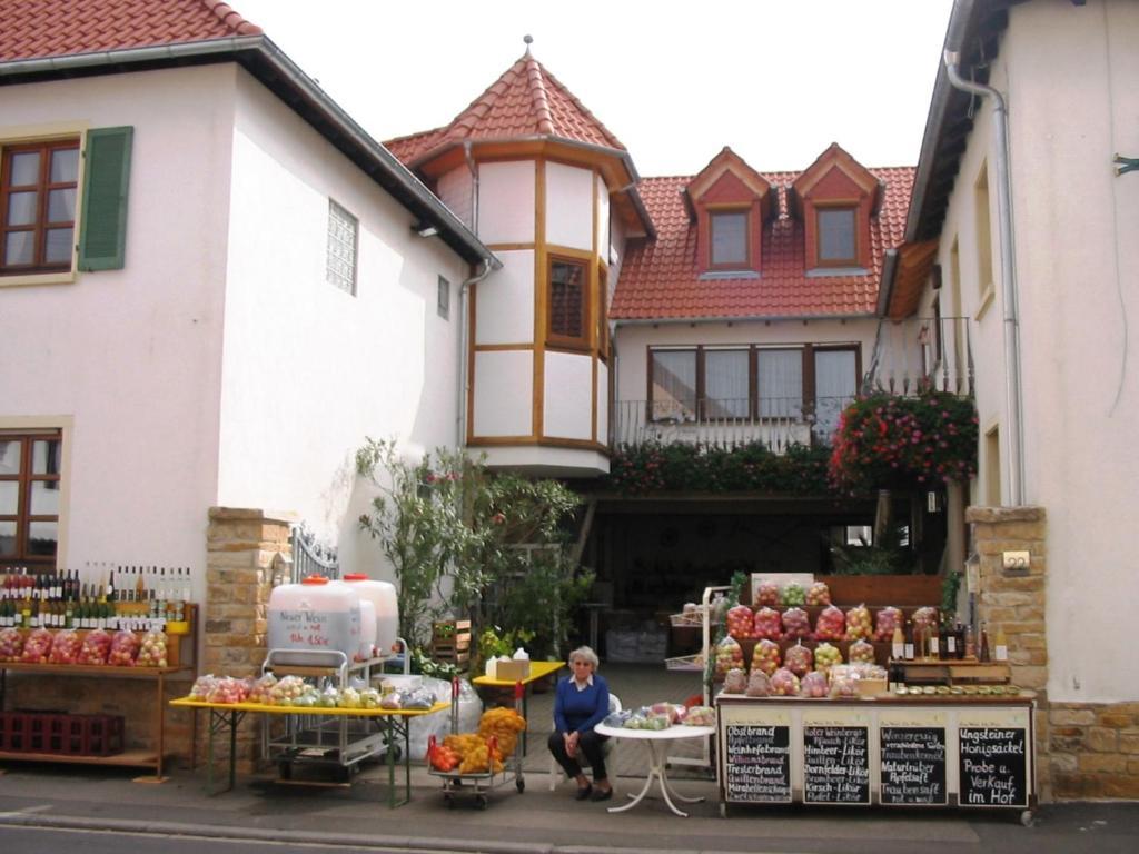 Ferienwohnungen Dehn Bad Dürkheim Dış mekan fotoğraf